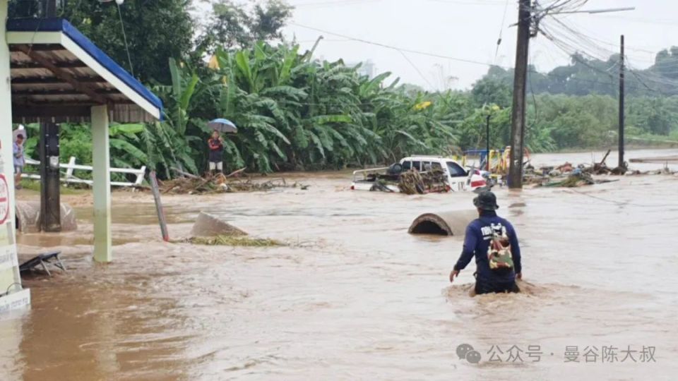 泰国洪水，挑战、影响与应对策略泰国 洪水 橡胶