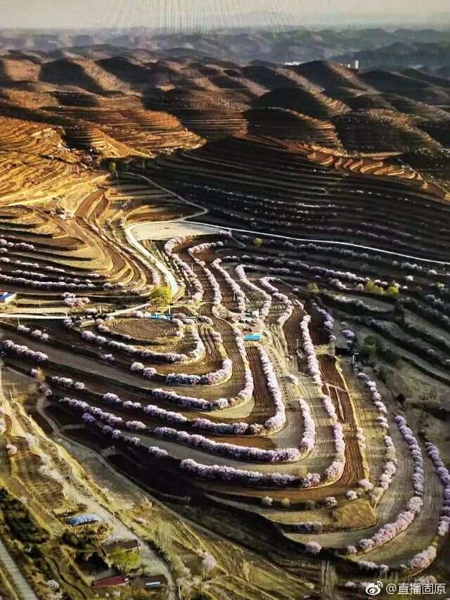 彭阳，黄土高原上的绿色明珠彭阳县属于哪个市
