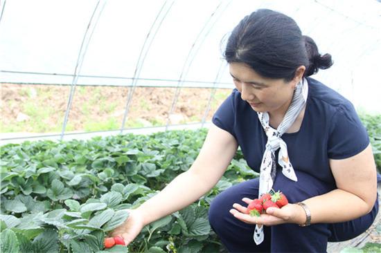 管家婆资料大全，打造高效、智能的现代家庭管理新模式