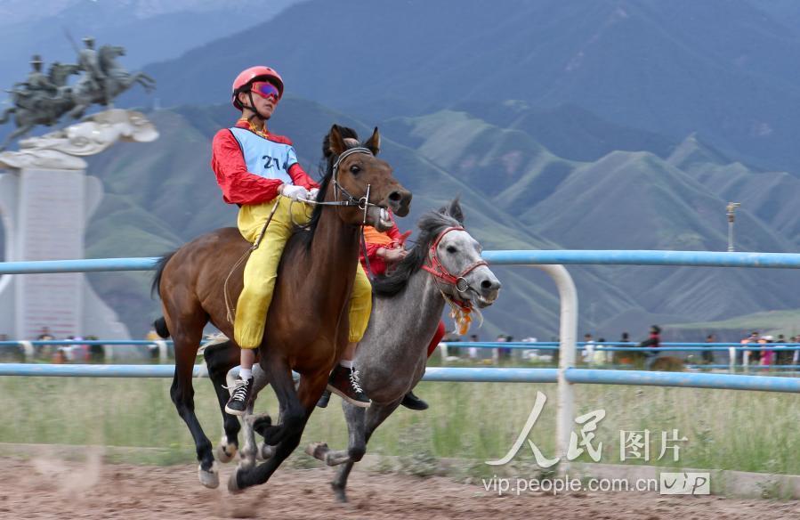 2019年马会正版，重塑香港赛马的辉煌与挑战2019年马会正版全年免费资科