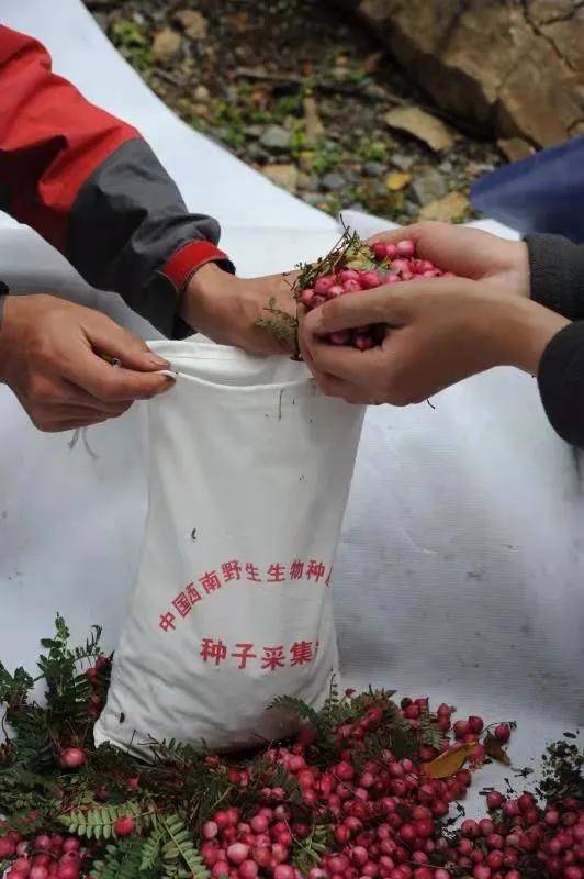 网页游戏 第39页