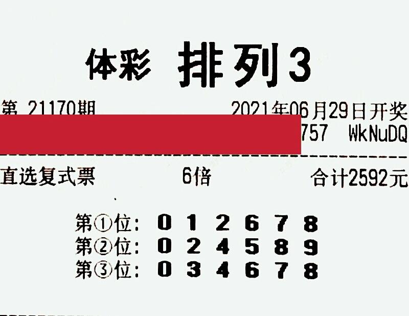 乐透乐园，数字与梦想的交汇之地乐透乐论坛3d字谜论坛首页