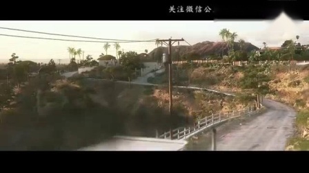 探索新跑狗，高清彩图下的速度与激情新跑狗高清跑狗图彩图大全
