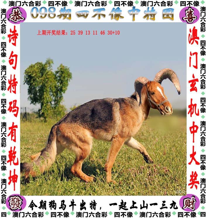 揭秘四不像王中王的奥秘，必出一肖的玄机四不像王中王必出一肖破解版