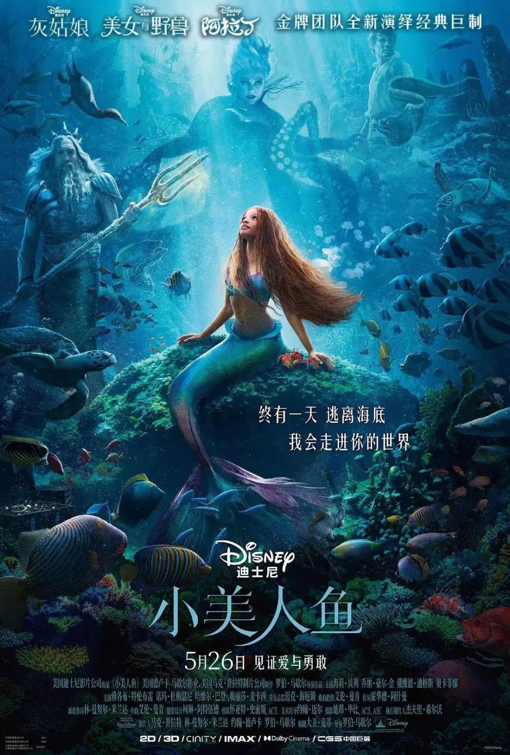美人鱼传说与138,097，网络论坛的奇幻之旅138383美人鱼论坛美人鱼686852