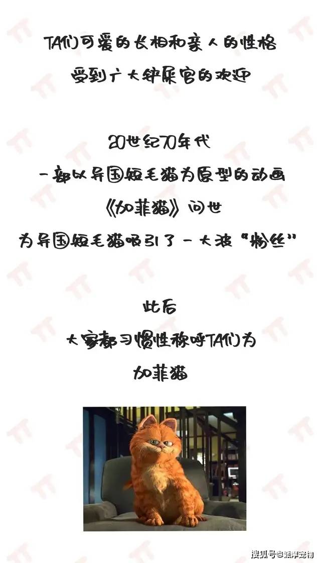 揭秘黄大仙精选三肖，是迷信还是科学？黄大仙精选三肖三码必开单双