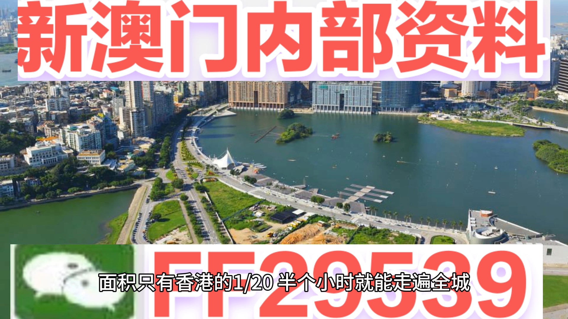 2043年，新澳门特马直播的未来展望2025澳门今晚开奖号码