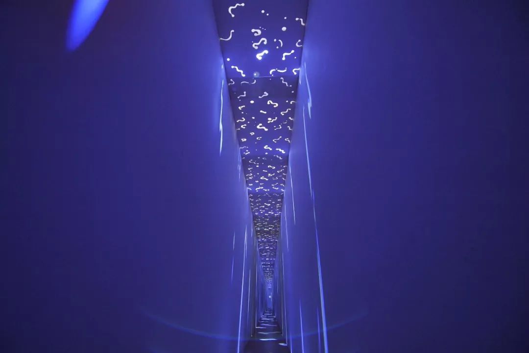舞蹈题材的多样性与艺术魅力，探索其深层含义舞蹈题材是指什么