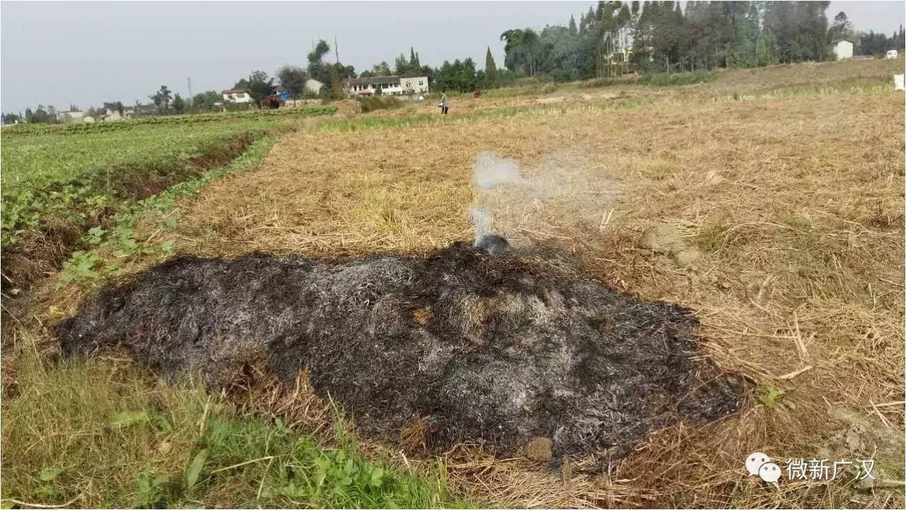 污染防治攻坚战中的三大战役，守护蓝天、碧水与净土的行动污染治理三大战役