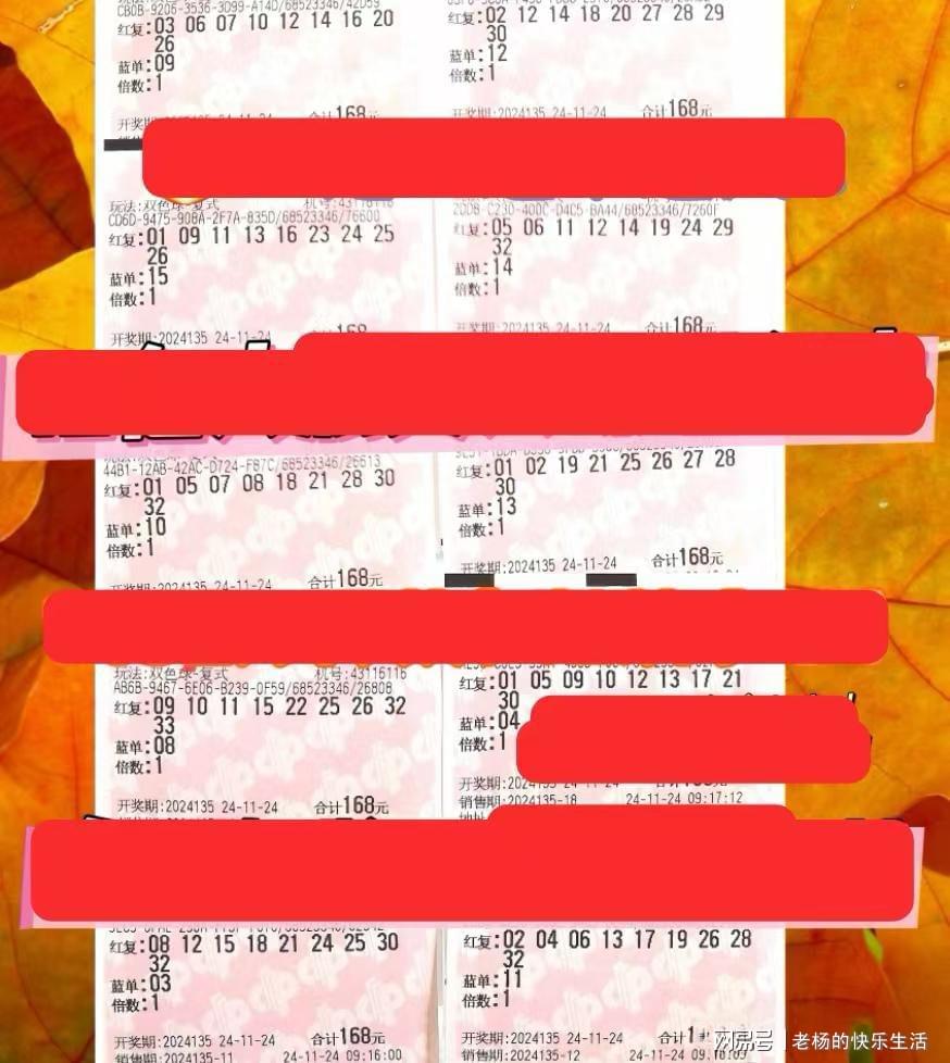 小红孩与双胆福彩，梦想照进现实的奇妙之旅研究生必下双胆