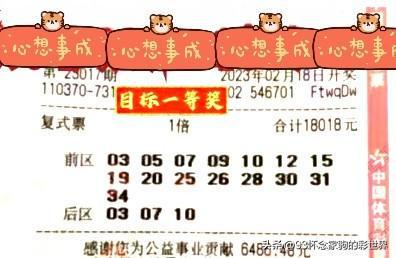 探索大乐透的奥秘，近期开机号与试机号的深度解析大乐透近期开机号和试机号查询