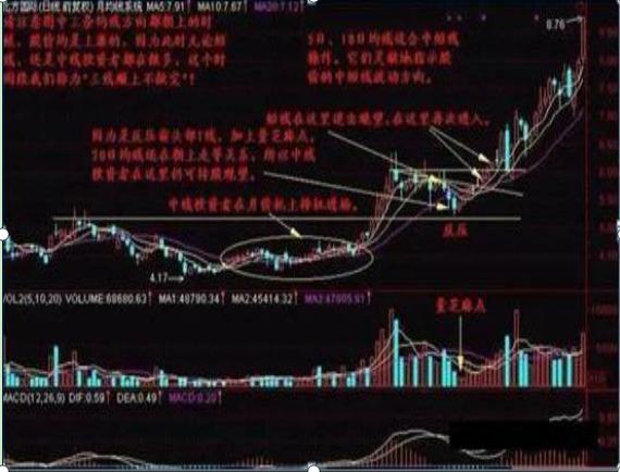 揭秘双色球蓝球的绝杀法精准策略双色球蓝球绝杀法精准预测