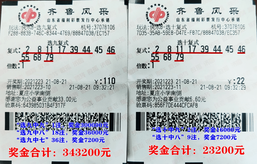十一运夺金复式查询表，解锁体育赛事的智慧之钥十一运夺金玩法奖金