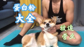 2025年6月 第8页