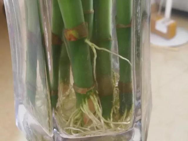 500彩票快三下载手机版