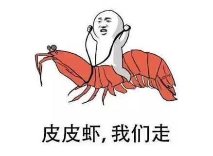 探索双色球下注的智慧,科学计算与策略分析双色球投注计算