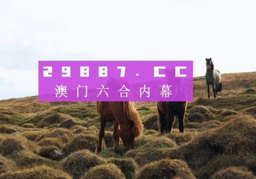 澳门开奖记录,2019-至今的回顾与展望新澳门开奖结果 开奖结果