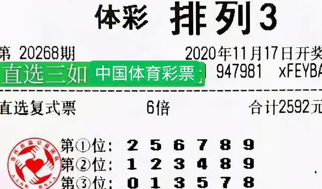 彩票投注预测，理性与幸运的微妙平衡