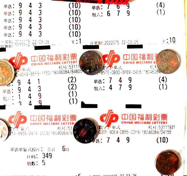 3D彩票，揭秘本期中奖号码的奥秘本期的3d中奖号码