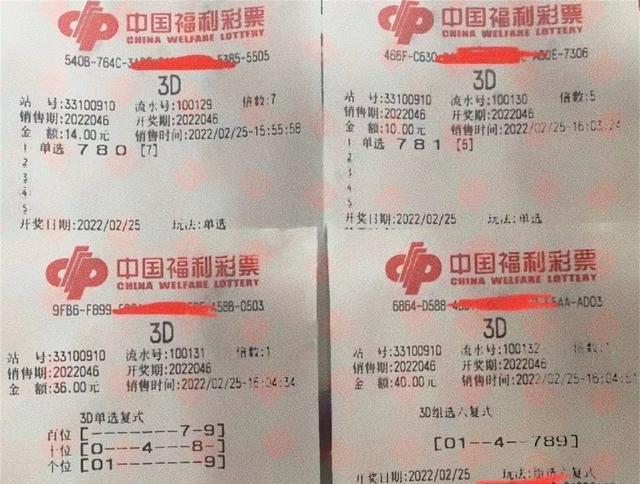 3D彩票，定位套餐与组六策略的财富之路3d组六中奖价格表