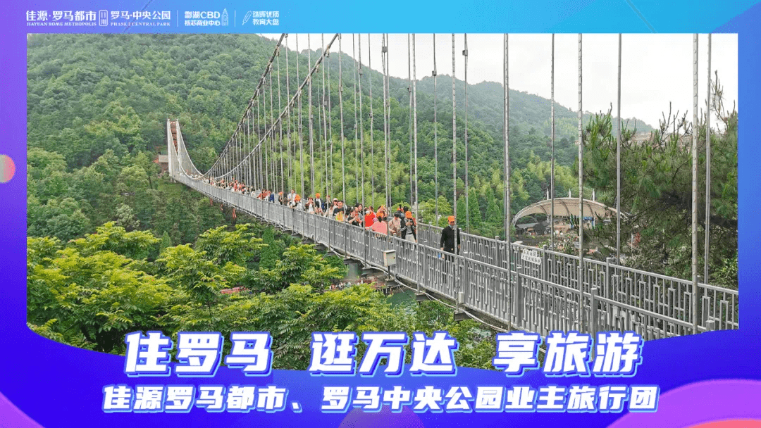 七乐彩年假，年终的幸运之旅七乐彩活动