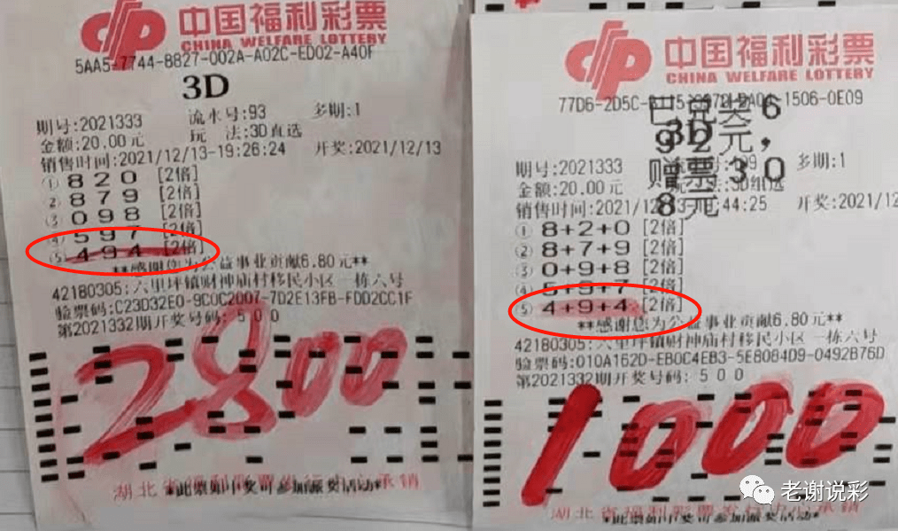 3D中奖号试机号的综合走势图，揭秘数字背后的秘密3d试机号中彩网走势图
