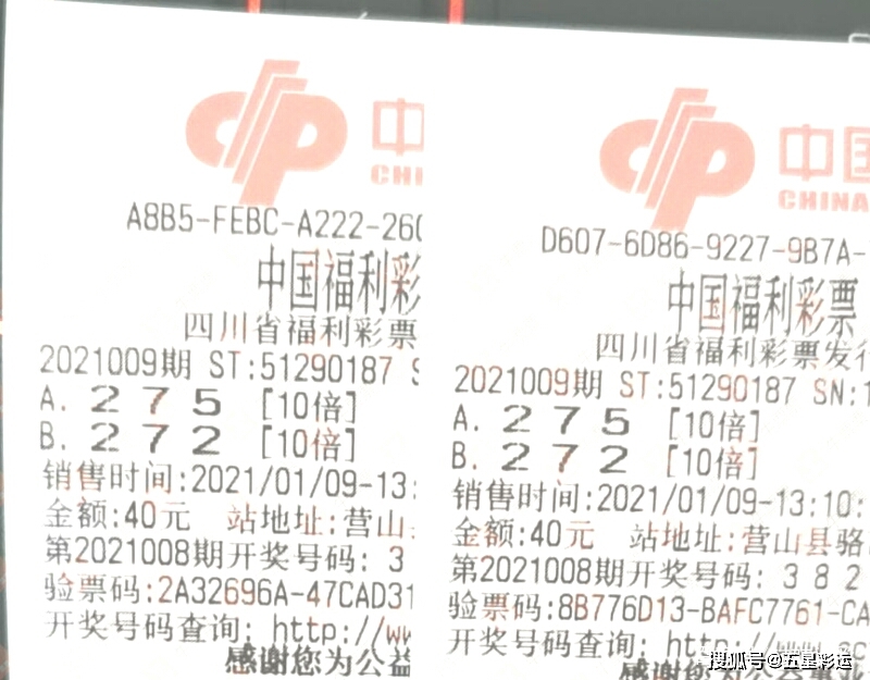 揭秘三D彩票中奖号码的奥秘与选择策略三d中奖号是什么