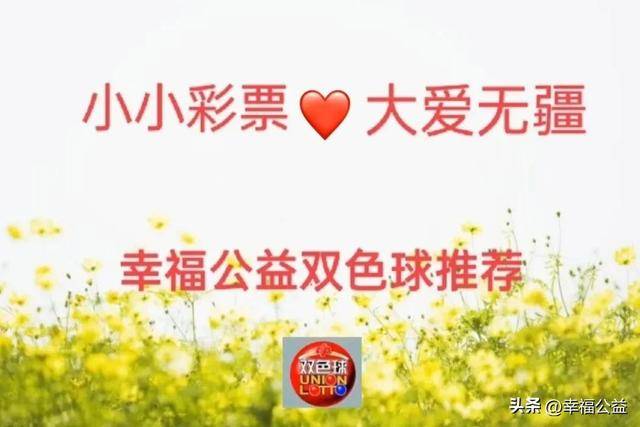 福利双色开奖结果，公益与幸运的完美结合福利双色开奖结果查询