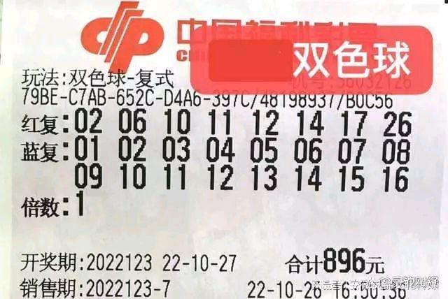 探索双色球123期开奖结果，揭秘数字背后的幸运与期待双色球开奖结果查询表双彩