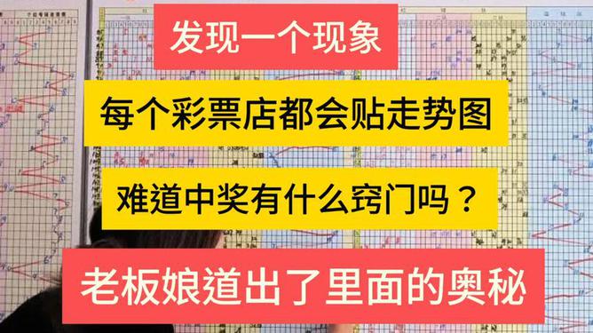 探索大乐透3D，解锁全部基本走势图的奥秘大乐透全部基本走势图中关村